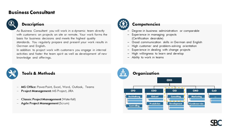 Example of a Job Profile for the role of a Business Consultant