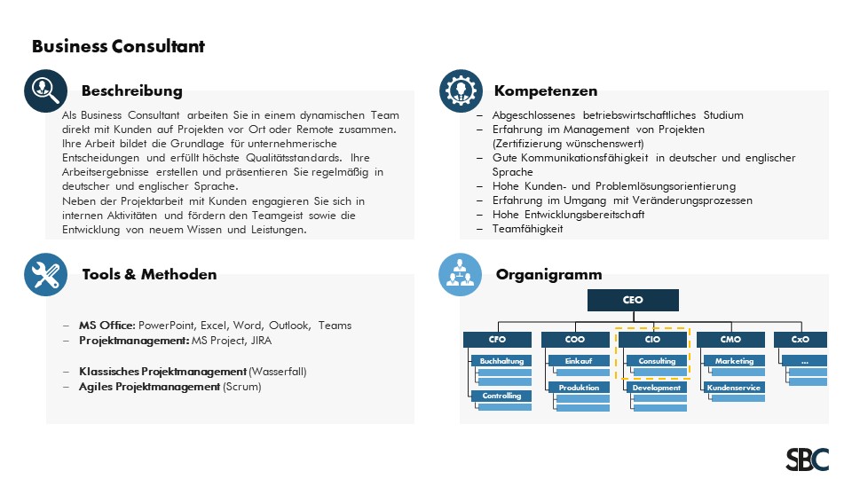 Beispiel eines Rollenprofils für einen Business Consultant